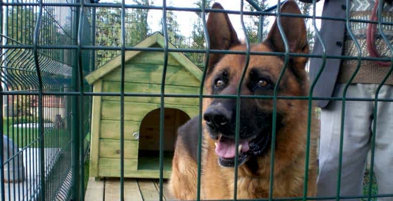 KÖPEK KAFESLERİ