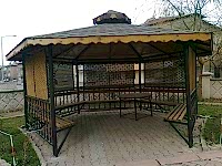 Kamelyalar